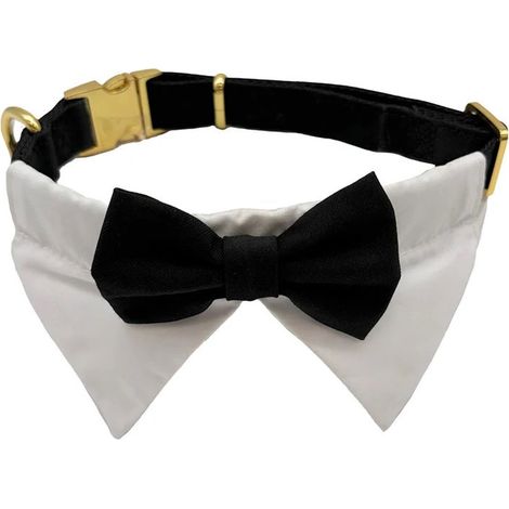 Collare are Smoking Ceremonys 28-44 cm: Collare per cani Smoking linea Ceremony per matrimoni, battesimi, cerimonie e feste (1/3)