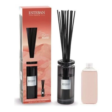 Esteban-Paris Bouquet Profumato Initial 100 ml – Terre d’Ocre Karité