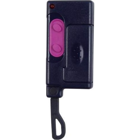 Télécommande 2 canaux (1/5)