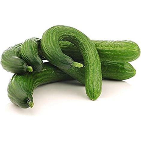 Semi di cetriolo "Serpente Cinese" piante per orto e giardino