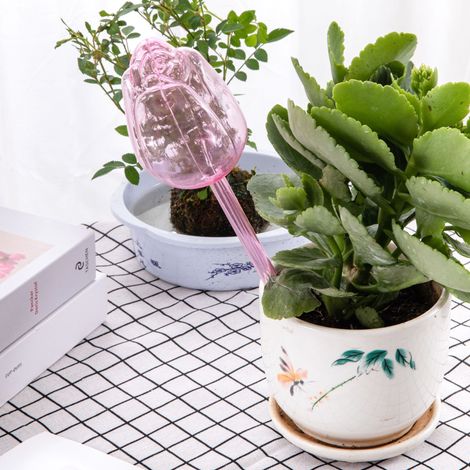 Globe d'arrosage automatique décoratif pour plantes – motif fleurs roses (1/4)