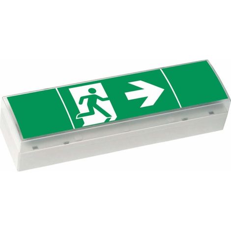 Ceag Notlichtsysteme LED-Einzelbatterie-Leuchte m.Prüftaster SV EURO4 LED 3h(SET) (1/2)