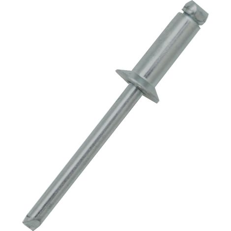 Rivet Aluminium Argent longueur 6mm diamètre 3.2mm ( Prix pour Sachet de 100 )