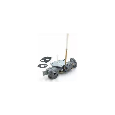 Vergaser Briggs & Stratton Briggs & Stratton 135200 297599, 299437 (1/5)