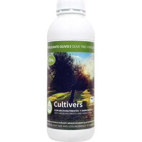 Kultiver kolygische Lychid Olive Zahlung 1 l