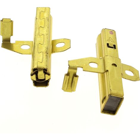 Charbons + supports (par 2) 6.610-258.0 - aspirateur karcher