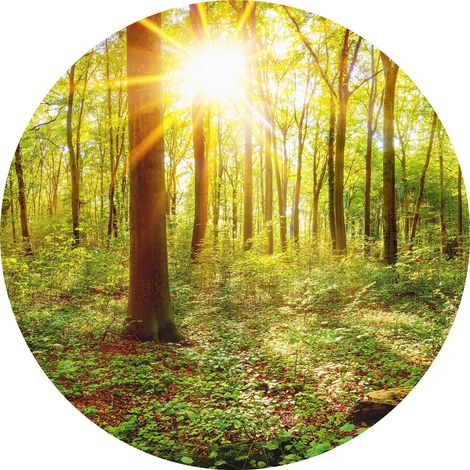 Papier peint panoramique 3D forêt vert | Tapisserie panoramique ronde idéale cage d'escalier | Papier peint panoramique arbre au soleil - 140 x 140 cm (3 pièces) (1/2)