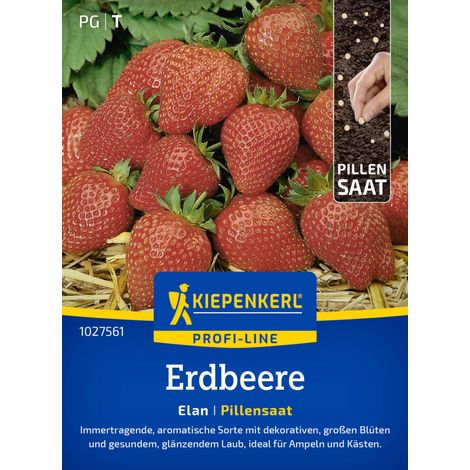 Kiepenkerl Profi-Line Saatgut Erdbeere Elan F1 Pillensaat für ca. 6 Pflanzen (1/2)