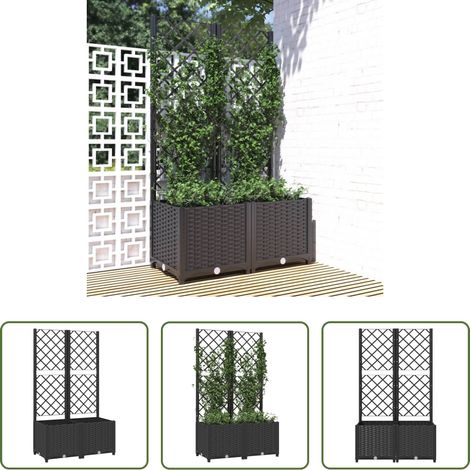Spalier -  Garten-Pflanzgefäß mit Spalier Schwarz 80 x 40 x 136 cm PP (1/5)