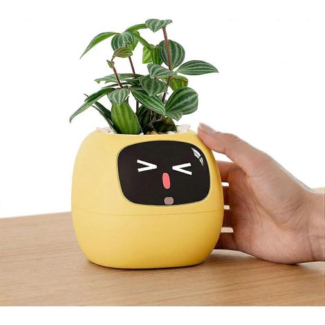 Ivy Compagnon de bureau interactif IA, plante intelligente 100+ expressions, pot de fleurs intérieur déco, cadeau pour amoureux des plantes citron (1/5)