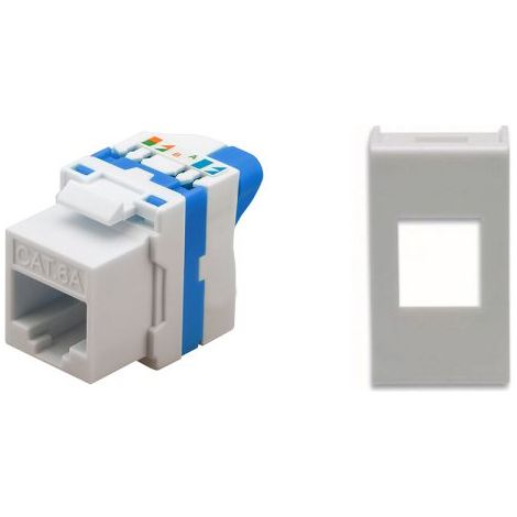 TechLy presa di rete RJ45 UTP CAT.6a tooless + Ave Banquise(Sist.45)