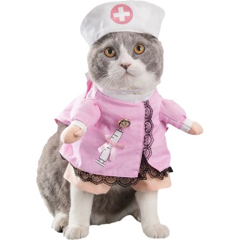 Fournitures pour animaux de compagnie Vêtements pour chien Vêtements de pirate debout Vêtements pour chien Médecin de la police Vêtements debout Guitare transformant des vêtements amusants (Infirmière