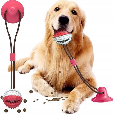 Balle interactive pour chien avec ventouse (1/5)