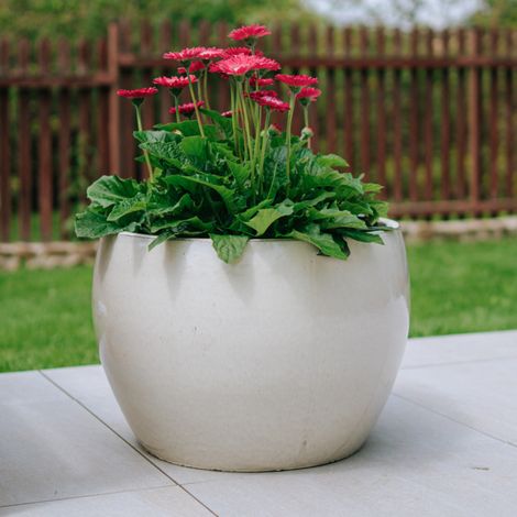 Pot grande taille d'extérieur ROMULUS 31x23cm crème, fait main en terre cuite émaillée, résistant au gel (1/5)