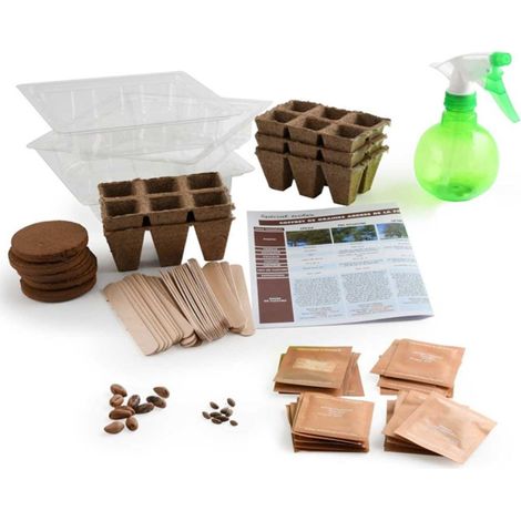 Coffret matériel et 30 sachets de graines : Les arbres de la forêt (1/2)
