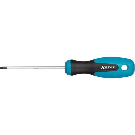 Hazet Tournevis - Profil TORX intérieur - Taille: T 10 - 810-T10 (1/4)