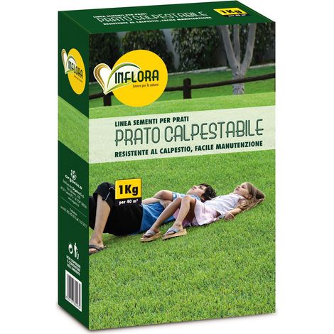 Semi per prato calpestabile Compagnia delle Sementi 1Kg (1/2)