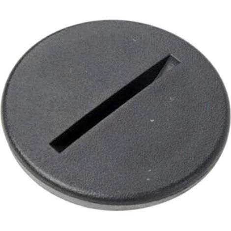 Tapón embellecedor de la cubierta del panel del limpiaparabrisas (1/5)
