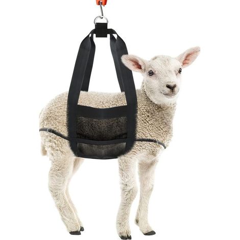 Élingue de Chèvre 1 Pièces pour Peser Les Animaux, Élingue de Pesée pour Petits Animaux, Élingue de Bétail, Balance de Veau Suspendue, Élingue de Poids