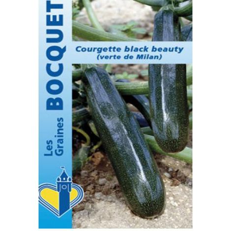 Courgette 'Black Beauty' le sachet de 35 graines (5g) (1/2)