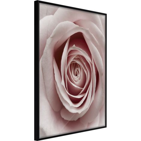 Affiche Murale Encadrée "Rosebud" 21 x 30 cm Noir