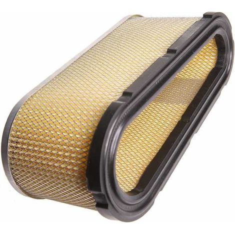 Filtre à air pour Briggs & Stratton 493909, 496894 (1/5)