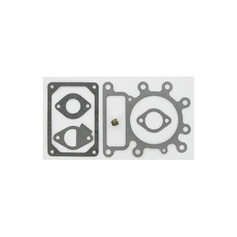 Kit de joints BRIGGS ET STRATTON 796189