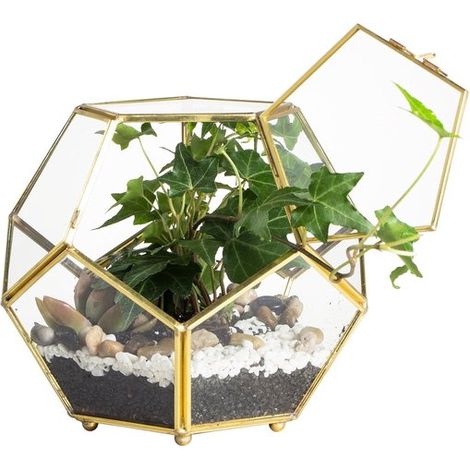 Pots de fleurs d'intérieur - Pots de fleurs d'extérieur - Terrarium géométrique en verre – 16,5 x 16,5 x 4 cm - Porte-plantes sphérique en verre - Décoration de table - Bordure dorée - Plantes non inc (1/4)