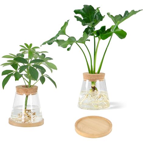 Set of 2 Glass Plant Propagation Stations, Glass Planter  Hydroponic Plant Bottle with Wooden Lid for Home Office Table Decoration (1/5)
