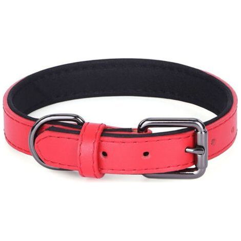 BUNTHAUS Collier pour chien rouge, en cuir souple rembourré et respirant - 2.040cm (1/3)