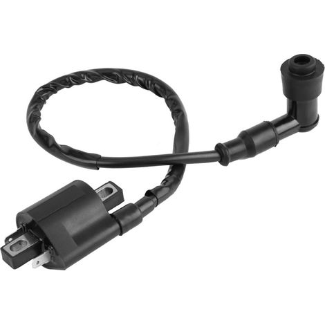 2-polige Zündspule für CBF125, CBR125, CR125 und CR250 Motorräder – Motorteil, direkter Ersatz, hohe Leistung, kompatibel mit Honda (1/5)
