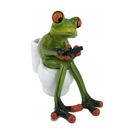 Froschfigur auf der Toilette (1/5)