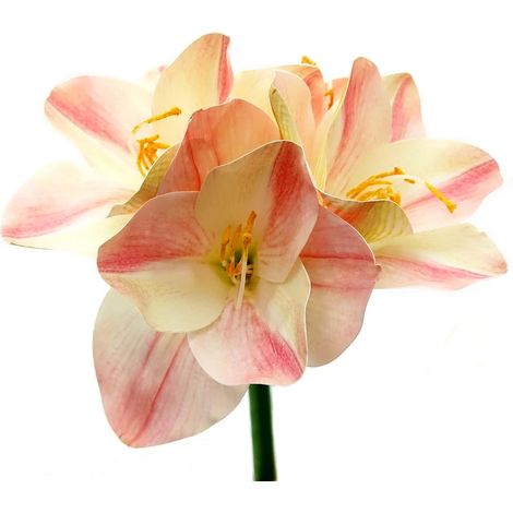 Prächtige Amaryllis Zweifarbig Creme & Rosa - Stiellänge 56 cm - Kunstblumen