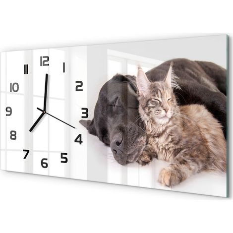 Horloge Murale Décorative 60x30 cm Format Horizontal Design Moderne Élégant Chien et chat (1/5)