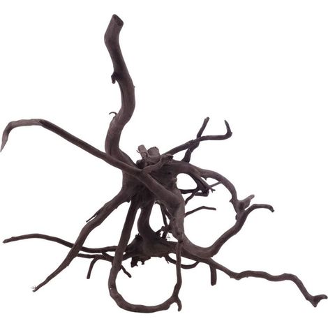 XL Black Spider Wurzel Nr.5272 Fingerwurzel Echtholz Deko Aquascaping