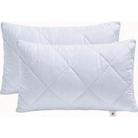 Lot de 2 Coussin, Garnissage Intérieur, Fibre Creuse, Canapé Lit Chaise (1/5)