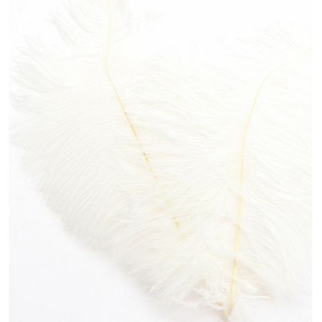 Plumes D Autruche Naturelles - 30 à 35 cm - Pour Centres De Table De Mariage Décoration Intérieure Arrangements Floraux DIY - 1 Pièce Blanc (1/5)