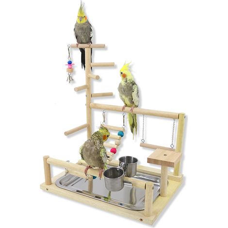Accessoires pour cage à perroquets et cacatoès, jouet pour aire de jeux, ZQKLA