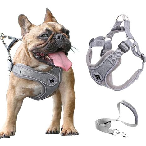 Ensemble harnais et laisse pour chien taille moyenne, gilet en maille respirante réglable anti-traction avec poignée rembourrée et bandes réfléchissantes (1/4)