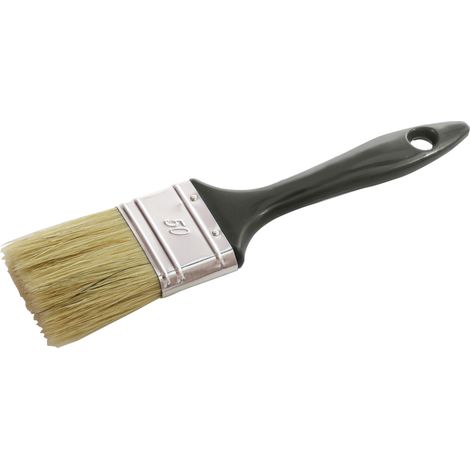 Brosse Plate Universelle 20 L'Outil Parfait
