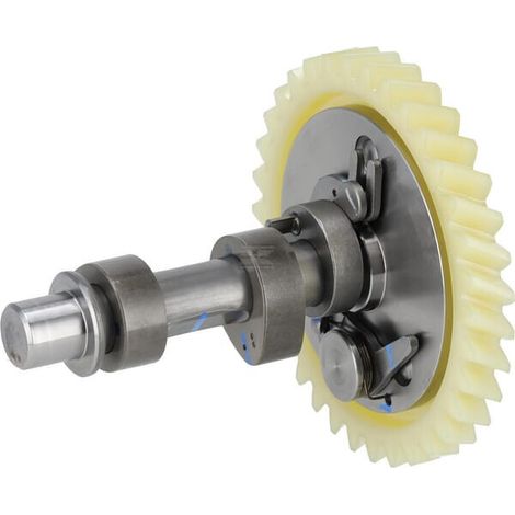 Gruppo albero a camme (a bassa rumorosità) HONDA 14100Z5T920 (1/3)
