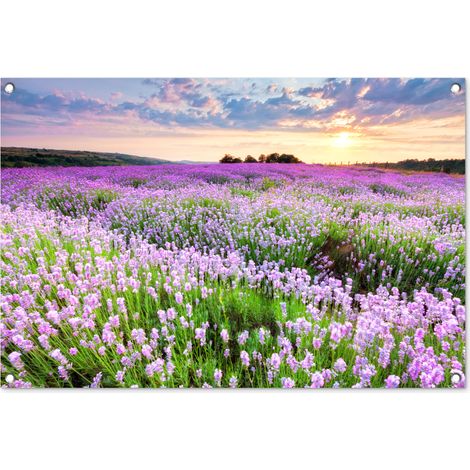Balcony Privacy Banner Flowers - Lavender - Purple - Sky - Sunset - Meadow - Nature 90x60 cm (1/5)