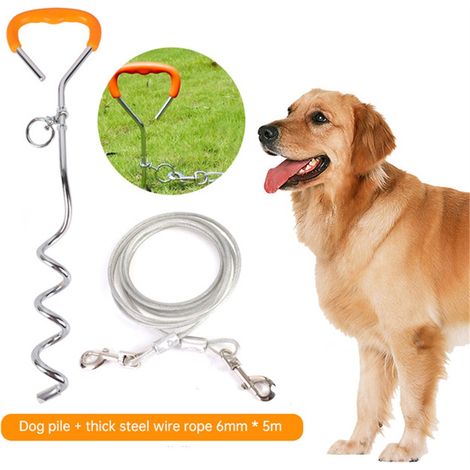 Lot fixe pour chien, piquet de sol pour extérieur, laisse de camping pour jardin, ancre pour animal de compagnie en plein air
