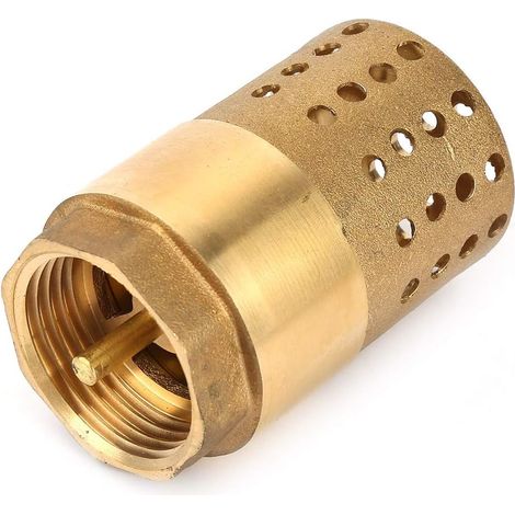 Fittings Internal Female Filter Thread Valves Brass Check Pumps Valve (1/5)