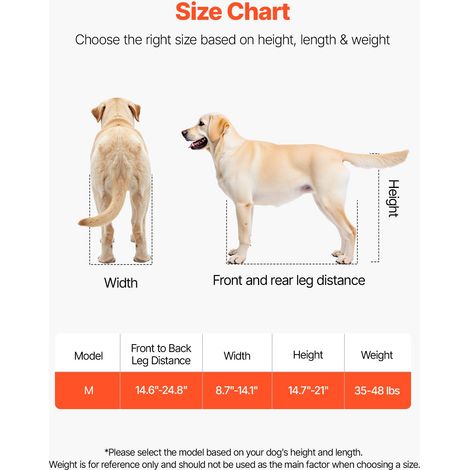 Fauteuil Roulant pour Chien Pattes Arrières 2 Roues Chariot pour