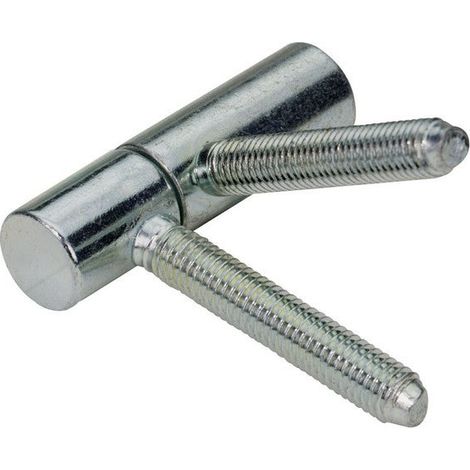 HETTICH Lot de 2 fiches à visser HETTICH, acier zingué, H.55 x l.15 mm