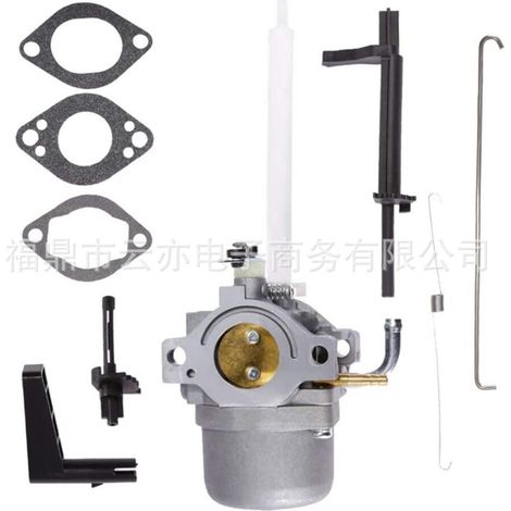 Vergaser kompatibel mit Briggs & Stratton 1450 305cc 14.50 Snow Series (1/5)