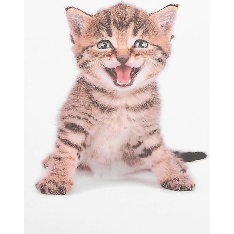Sticker mural 3D créatif Chats, housse de siège de toilette amovible, autocollant mural en PVC animal-30x20cm