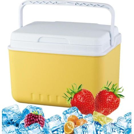 Kühlbox, Reisekühlbox, Kompaktkühlschrank, tragbarer, wasserdichter Aufbewahrungsbehälter, großes Fassungsvermögen für Reisen, Picknicks und Wanderungen (1/5)