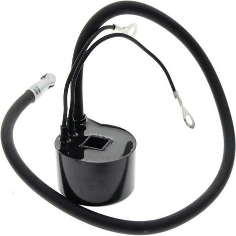 Bobina di accensione ad alta tensione compatibile con il codice 220435-S. Adatta ai modelli K90 e K91. (1/4)